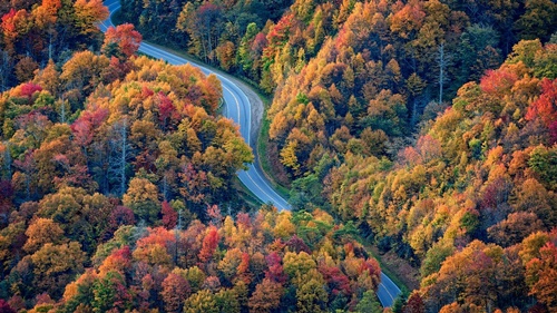 Smoky Mountains Fall Foliage Map Fall Foliage | Great Smoky Mountains Guide