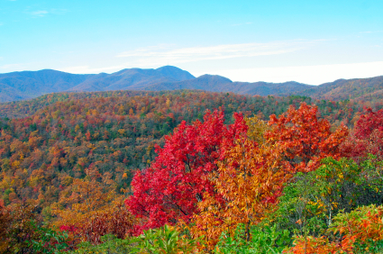 Smoky Mountains Peak Fall Colors 2020 Fall Foliage | Great Smoky Mountains Guide