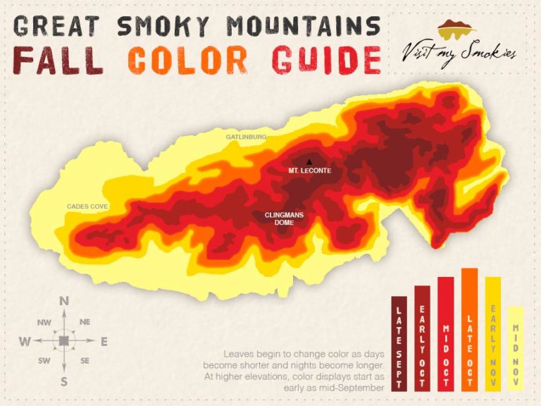 Fall Foliage Great Smoky Mountains Guide