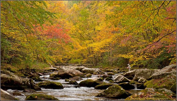 | Great Smoky Mountains Guide