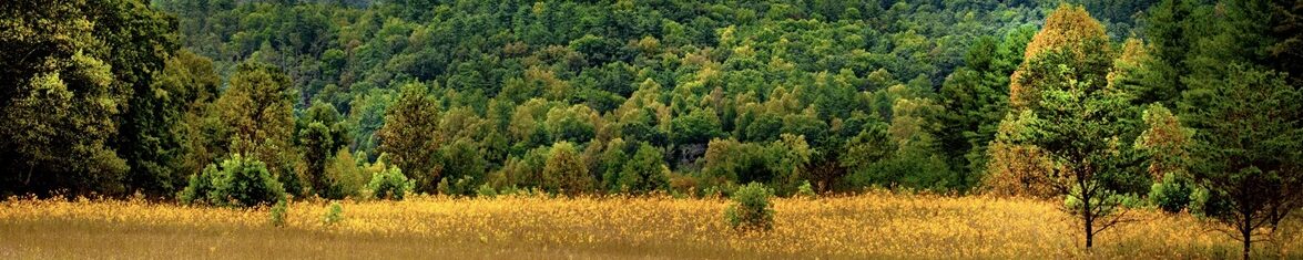 Great Smoky Mountains Guide